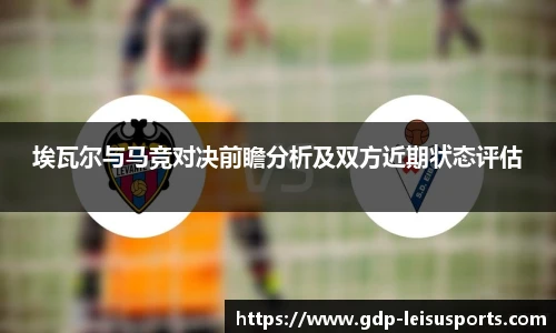 雷速体育